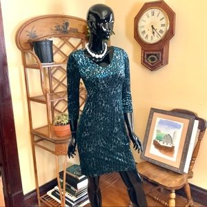 Karen Kane very classy, flattering velvety dress!